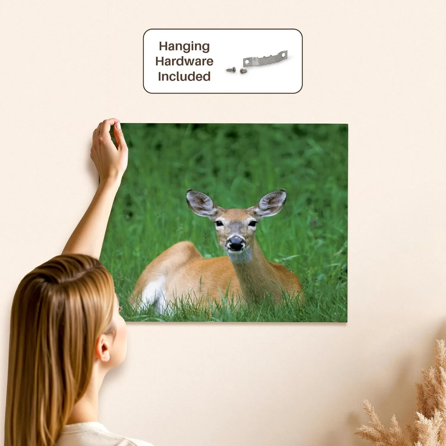 3dRose, Alberta, Waterton Lakes, Mule Deer wildlife-CN01 TGU0001 - Todd Gustafson, Museum Grade Canvas Wrap 20x16
