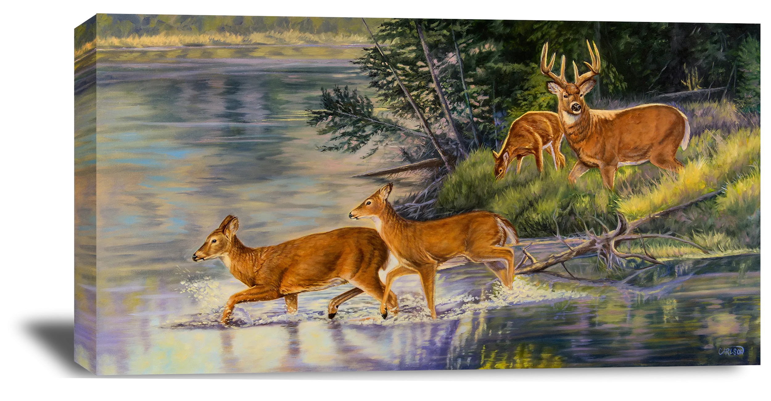 Autumn Crossing