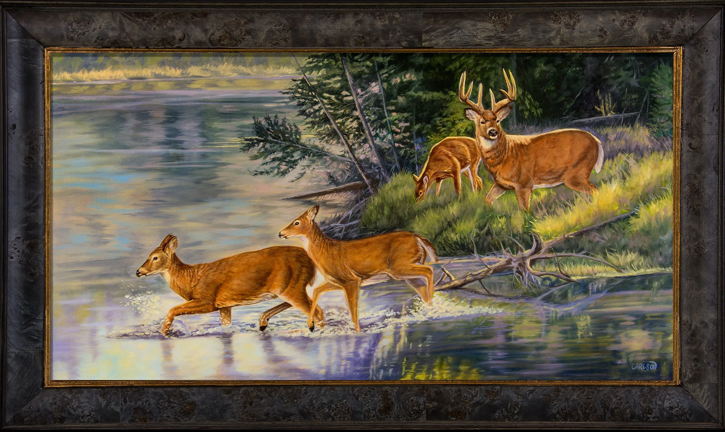Autumn Crossing