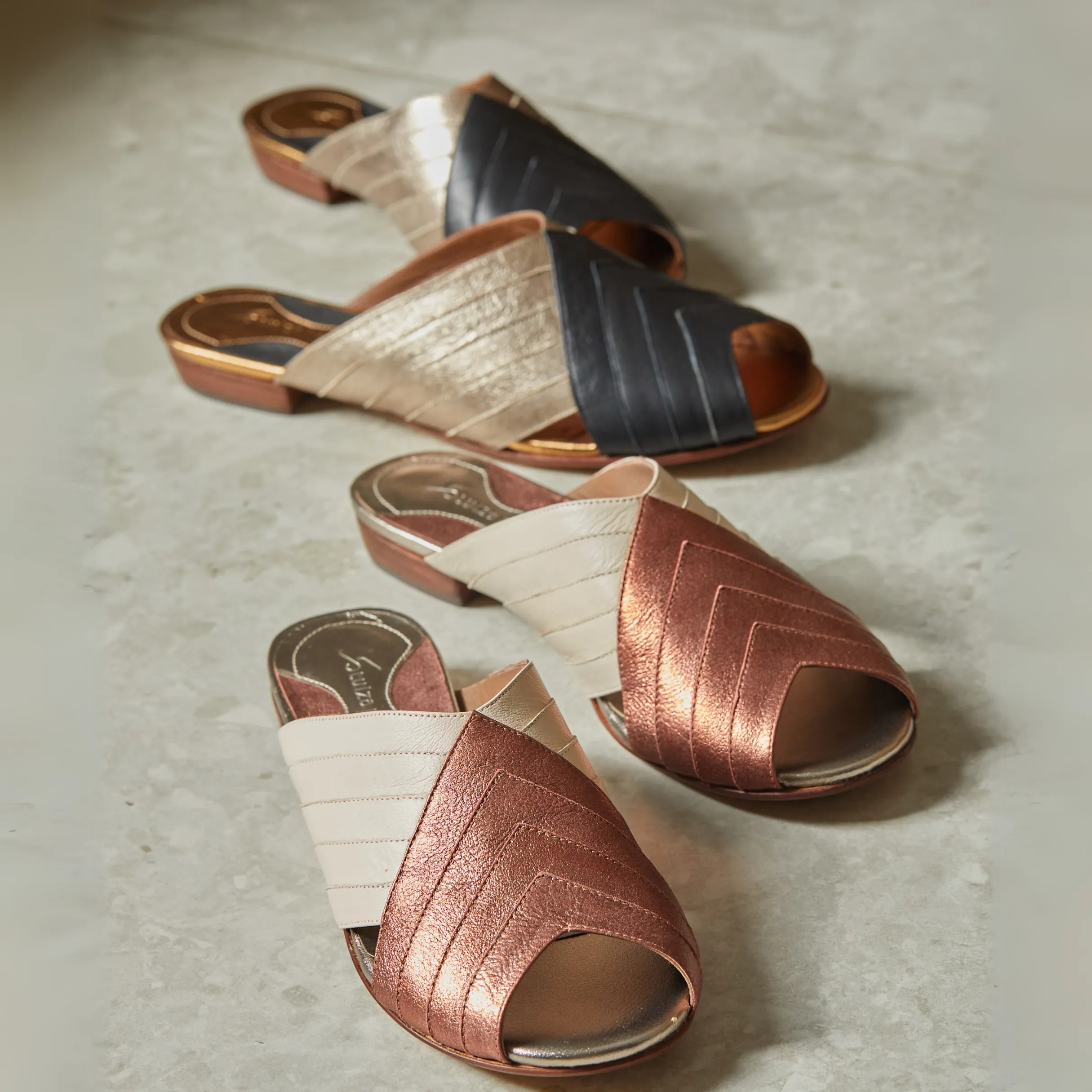 SEASHELL MULE