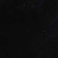 The Lucido (Sample Sale)